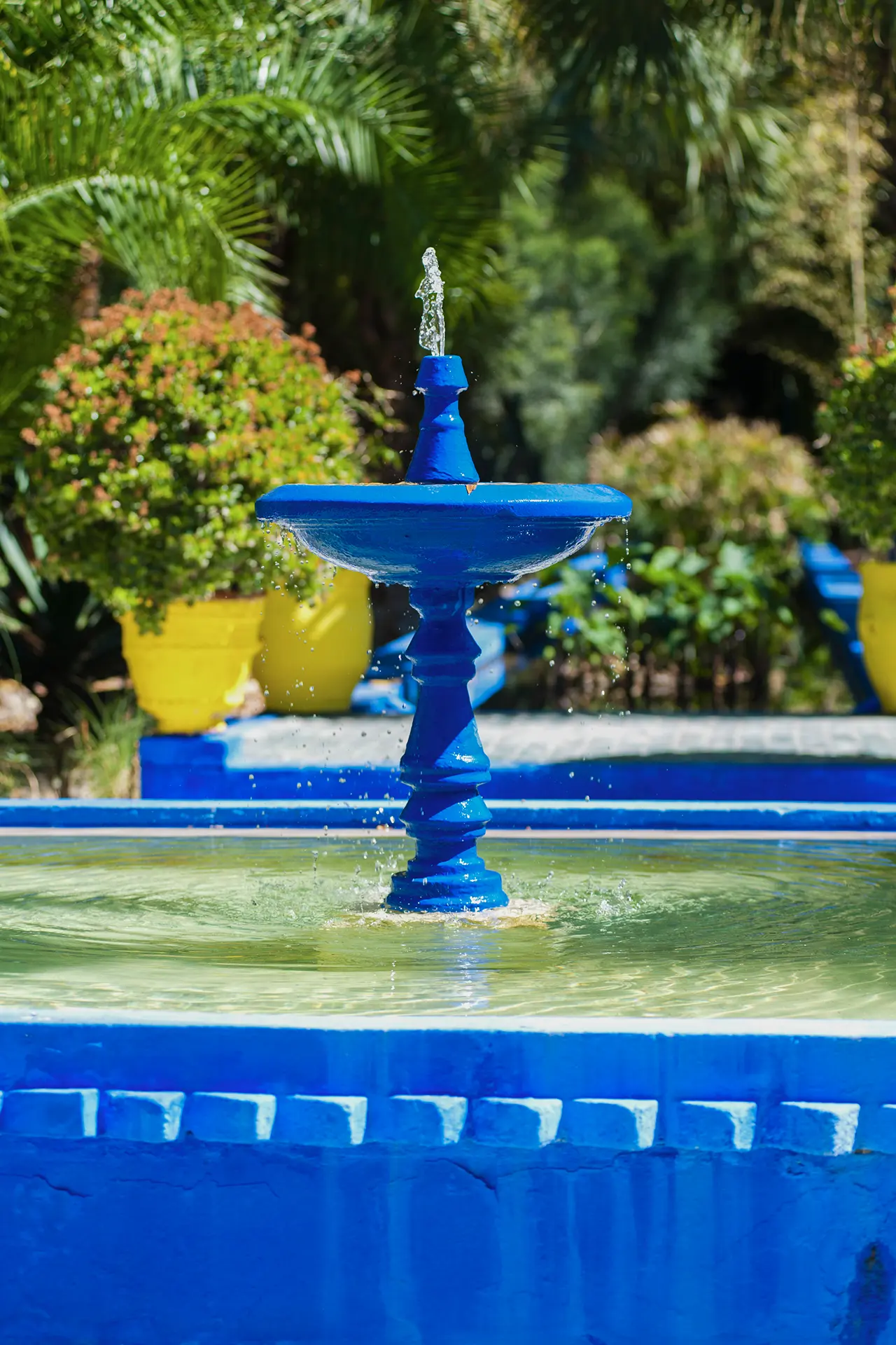 Water Features